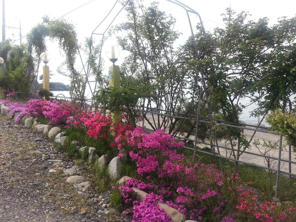 Yongdu Beach Pension Boryeong Esterno foto